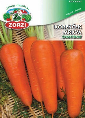 Bild von Karotte Chantenay - Zorzi Samenbeutel
