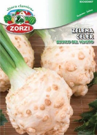 Bild von Knollen-Sellerie Bianco Del Veneto - Zorzi Samenbeutel