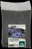 Picture of Phacelia, 1kg
