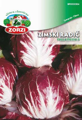 Slika Radič Palla Rossa 5 50g 1413 - Semenska vrečka Zorzi 