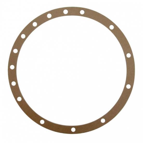 Picture of Rear axle housing gasket, 53201017