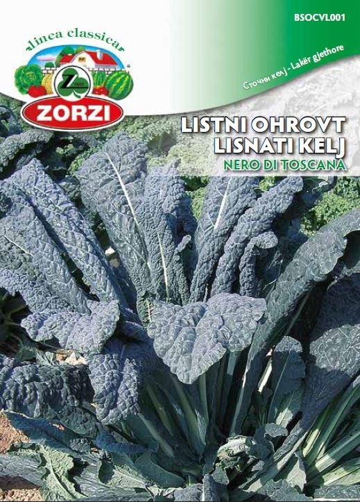 Bild von Grünkohl 1121 Nero di toscana - Zorzi Samenbeutel