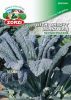 Bild von Grünkohl 1121 Nero di toscana - Zorzi Samenbeutel