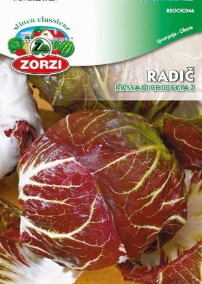 Bild von Radič Rossa di chioggia 2 1206- Semenska vrečka Zorzi