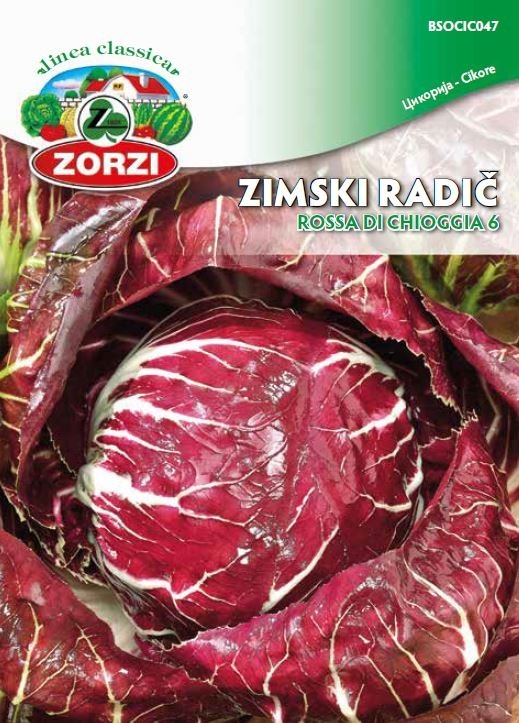 Picture of Winter Chicory Rossa di Chioggia 6, 1207 - Zorzi seed packet