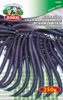 Picture of Fižol nizek Purple queen 250g 1447 - Semenska vrečka Zorzi