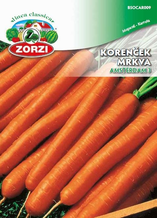 Bild von Karotte Amsterdam 3, 1157 - Zorzi Samenbeutel