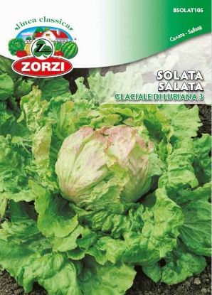 Bild von Eisbergsalat Glaciale di Lubiana 3, 1227 - Zorzi Samenbeutel