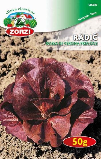 Bild von Radič Rossa di verona precoce 50G