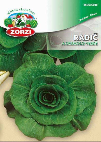 Bild von Radič Grumolo Verde 50g