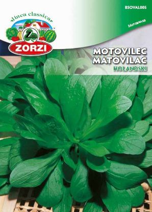 Slika Motovilec Holandski 100 g