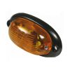 Picture of Indicator, oval