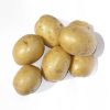 Picture of Gala seed potatoes, A 28/35, 25kg