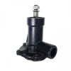 Bild von Wasserpumpe Ursus 335