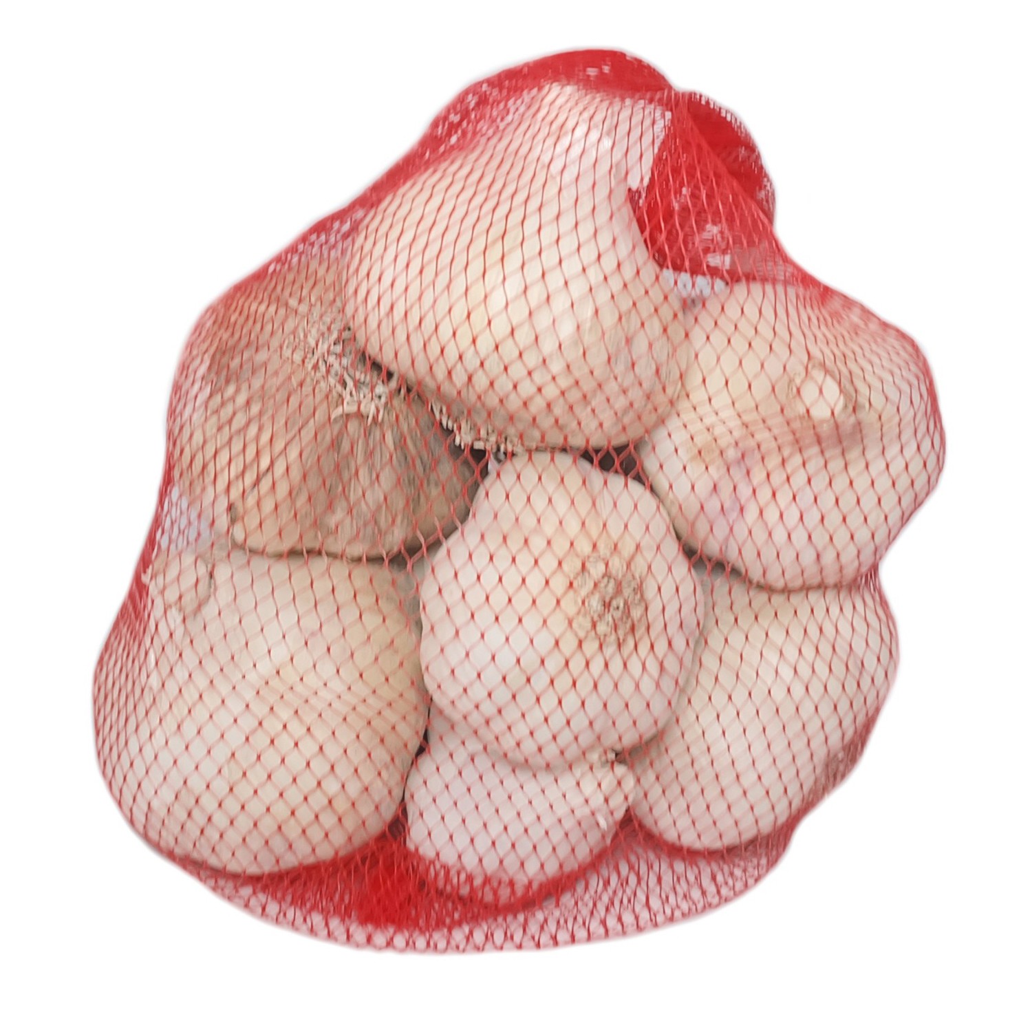 Bild von Pflanzknoblauch, lila, Gardos, 500g