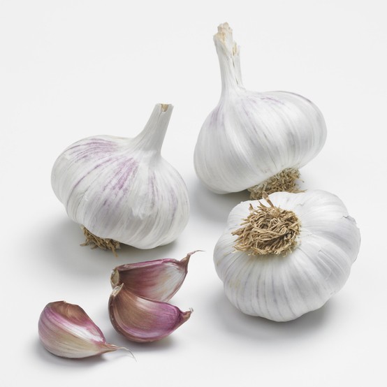 Bild von Pflanzknoblauch, lila, Gardos, 500g