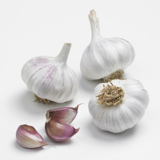 Bild von Pflanzknoblauch, lila, Gardos, 500g