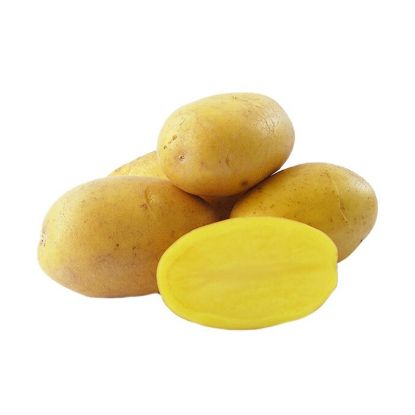 Slika Larissa krompir semenski A 28/35 5kg