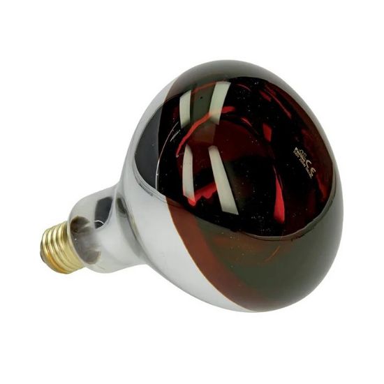 Picture of Infrared light bulb, 250W