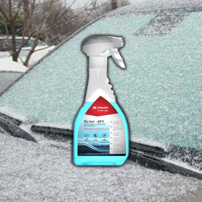 Bild von Enteiserspray, 0.5L, De-Icer