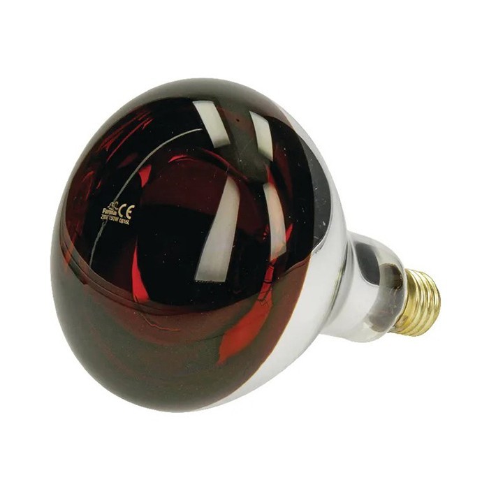 Slika Žarnica infra rdeča 150W