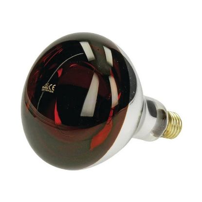 Picture of Infrared light bulb, 150W