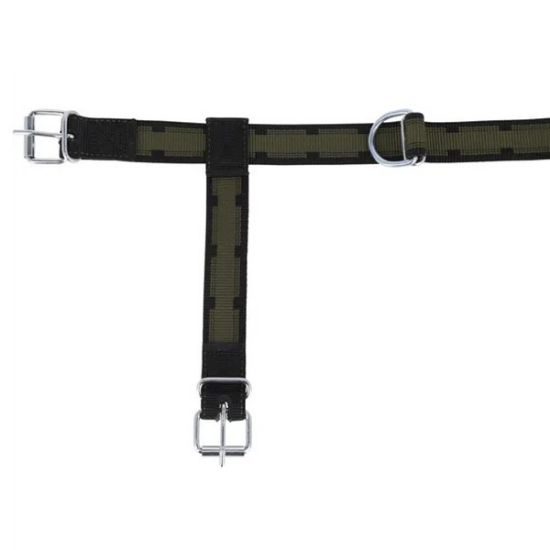 Bild von Lederhalfter für Kühe