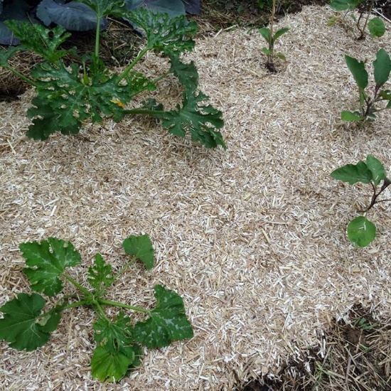 Picture of Miscanthus Mulch, 50l, 7kg