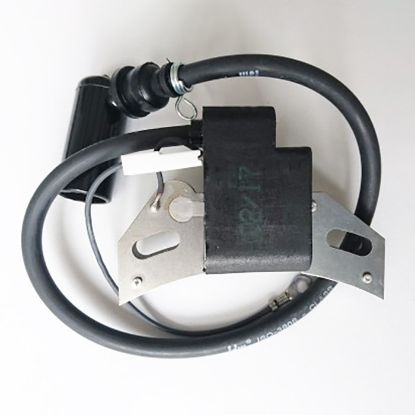 Bild von Zündspule, elektrisch, LA300/A349/IM350