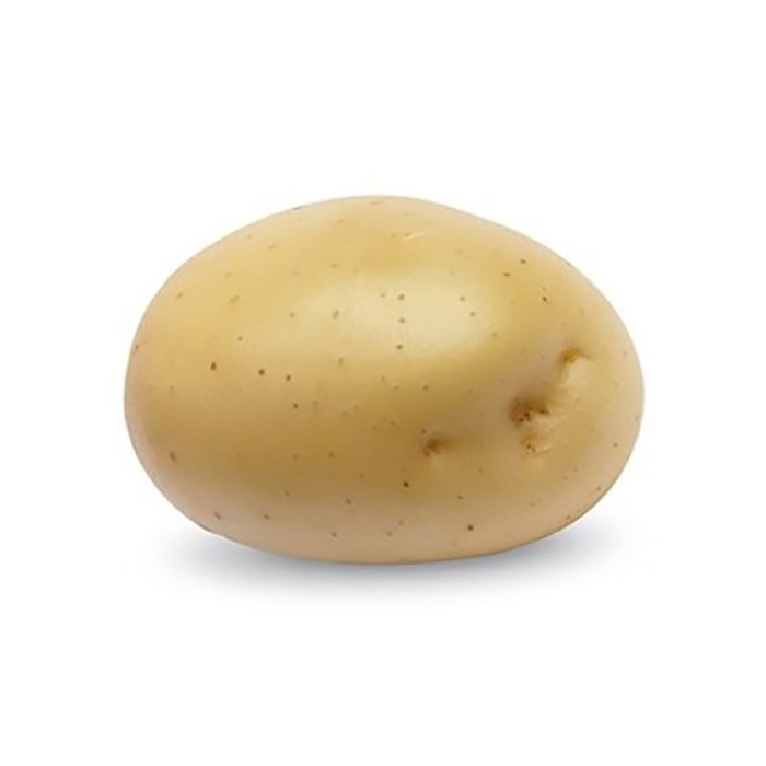 Bild von Pflanzkartoffeln Primabelle, A 35/55, 10kg