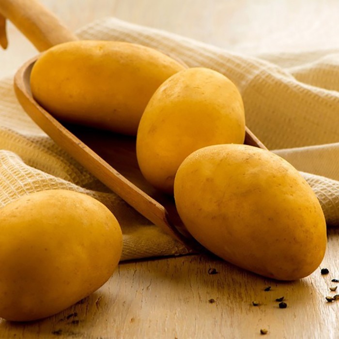 Picture of Larissa seed potatoes, A 35/55, 10kg