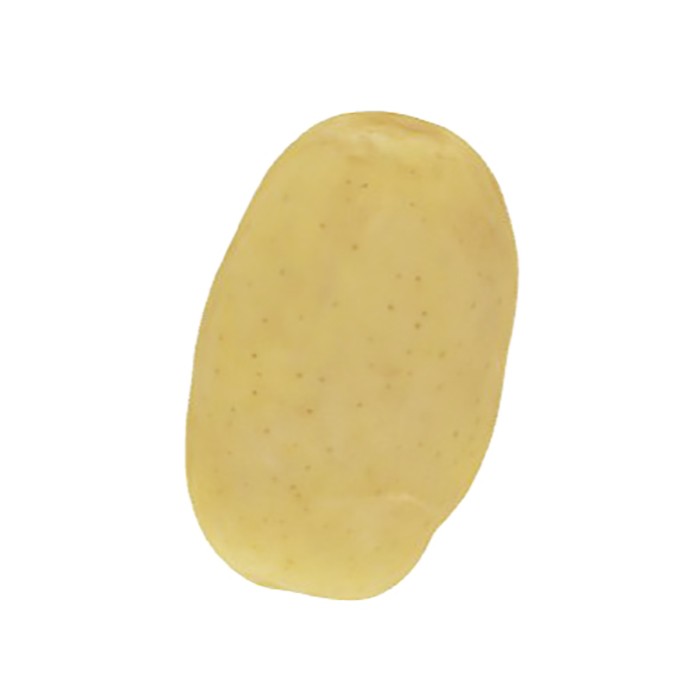 Picture of Camelia seed potatoes, A 35/55, 5kg