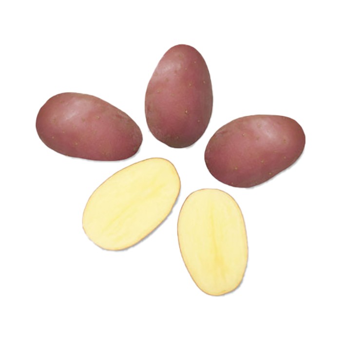Picture of Cereza seed potatoes, A 28/35, 5kg