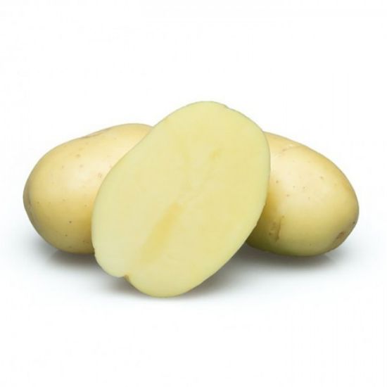 Slika Avanti krompir semenski A 35/55 10kg