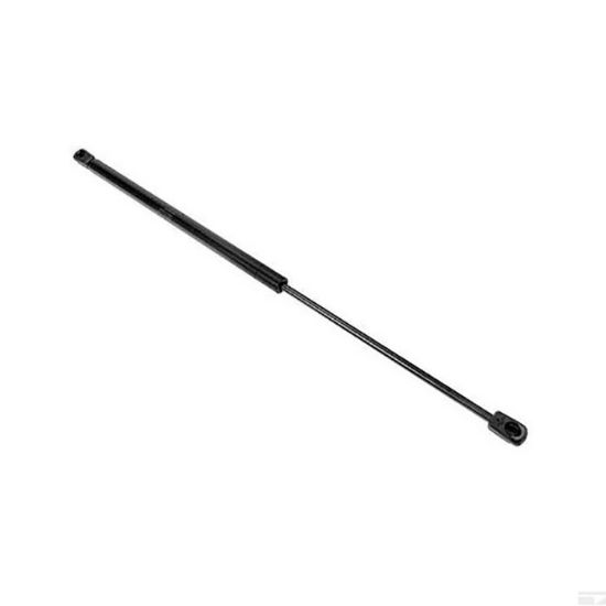 Picture of Gas spring, L=570,N=200, Case