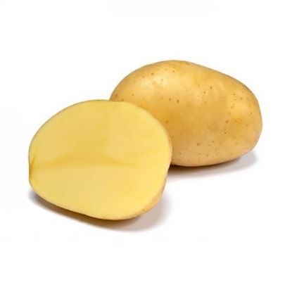 Bild von Otolia krompir semenski A 28/35 25 kg