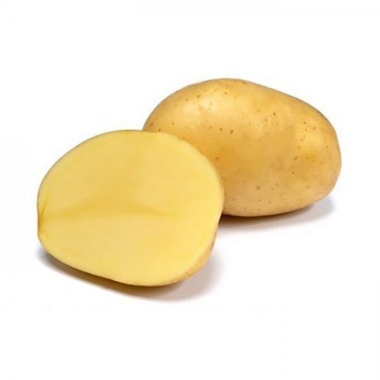 Slika Otolia krompir semenski A 28/35 25 kg