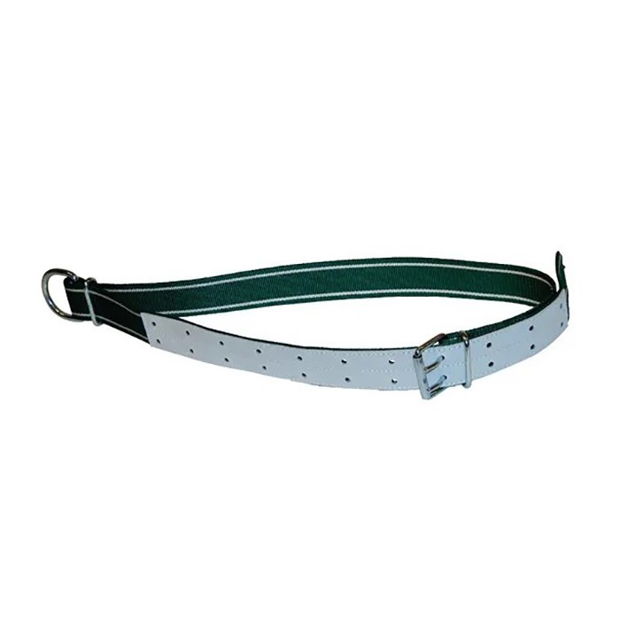 Bild von Halsband für Rindvieh, 150x5cm