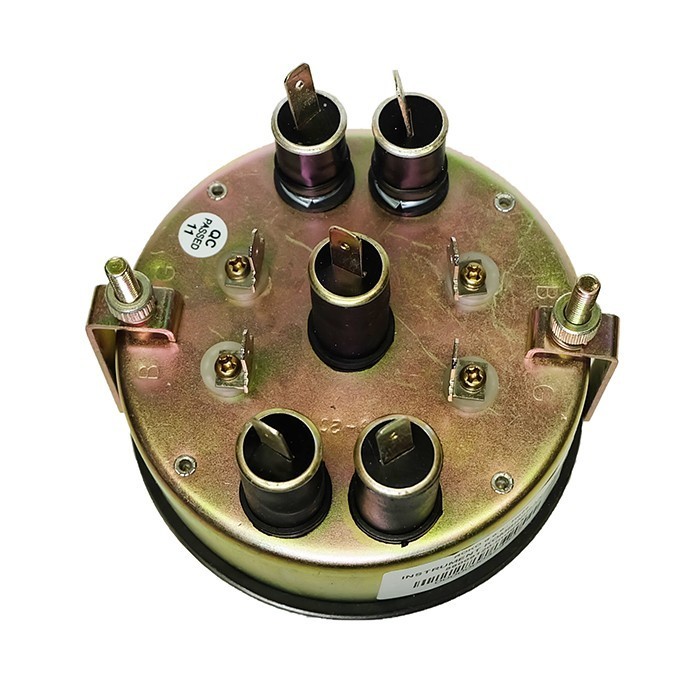 Picture of Combined instrument cluster, IMT, 56009120-Indian