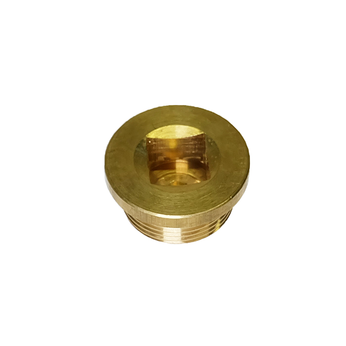 Picture of Cylinder head plug, TD, 2136596