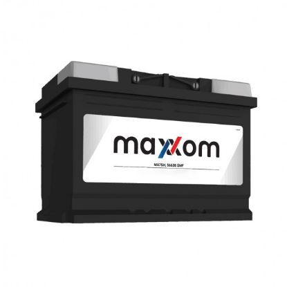Slika Akumulator 12V 60Ah, 550A - Topla Maxxom Desni +