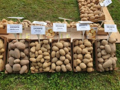 Avgust 2019 - Mednarodni kmetijsko - živilski sejem Agra 2019 v Gornji Radgoni