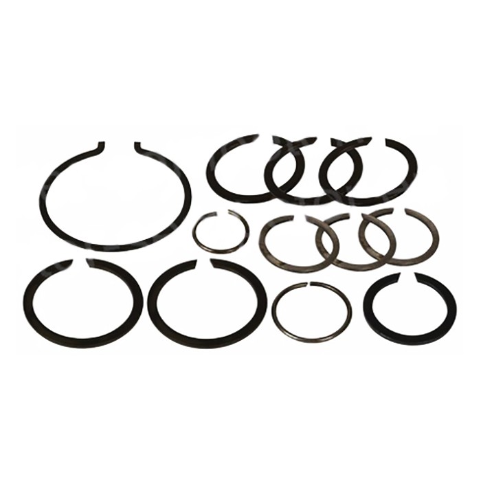 Picture of Retaining ring set assembly for gearbox, IMT 533-539