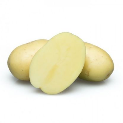 Slika Avanti krompir semenski A 28/35 2,5kg