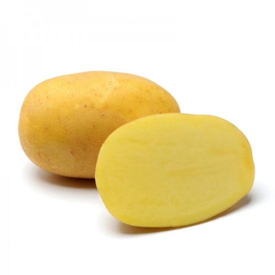 Slika Agria krompir semenski A 28/35 25kg