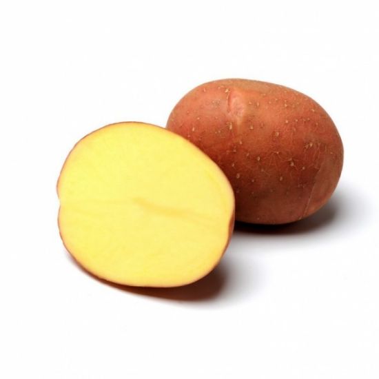 Picture of Bellarosa seed potatoes, A 35/60, 10kg