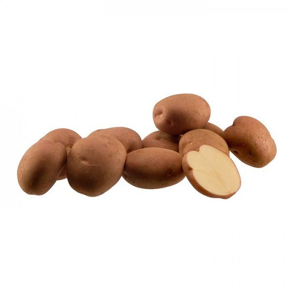 Picture of Romano seed potatoes, A 35/45, 10kg