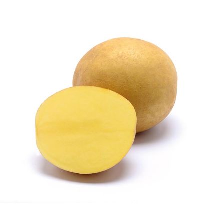 Picture of Karelia seed potatoes, A 35/55, 25kg