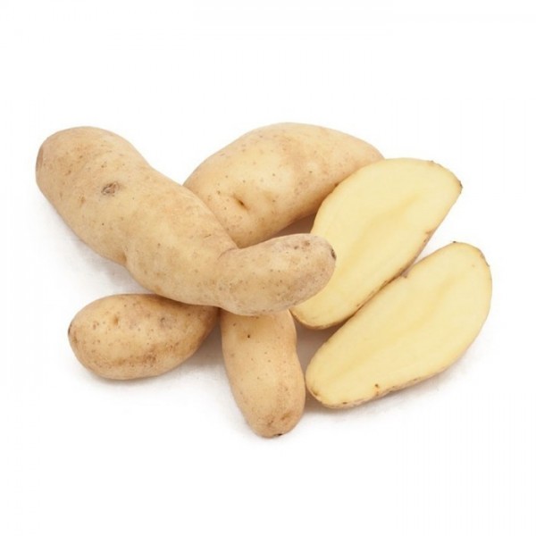 Picture of Kresnik Fingerling seed potato, A 25/40, 3kg, ROKO