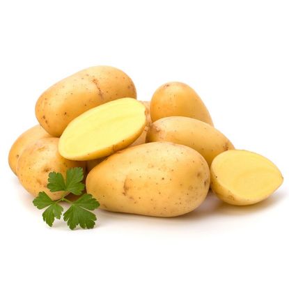 Slika Maris Bard krompir semenski A 28/35 25kg
